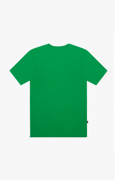 Camiseta Tradicional verde bandeira patch  preto